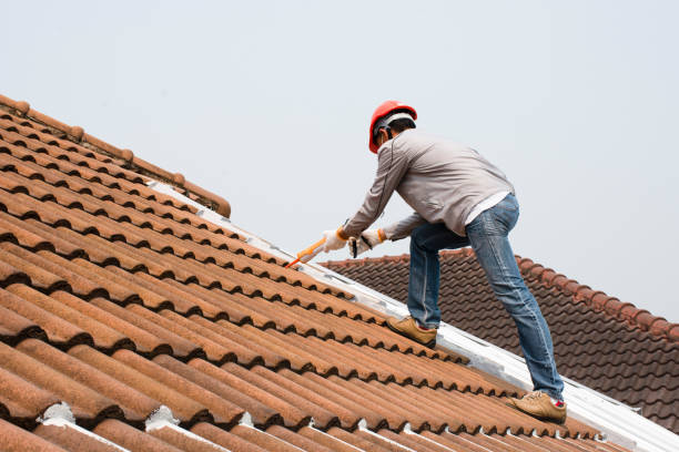 Best Roof Moss and Algae Removal  in Odessa, TX