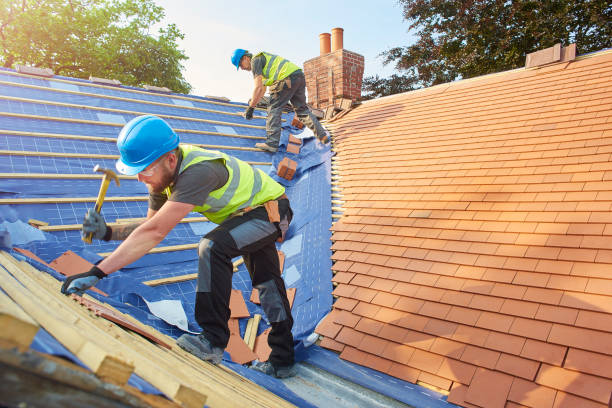 Best Skylight Installation and Repair  in Odessa, TX
